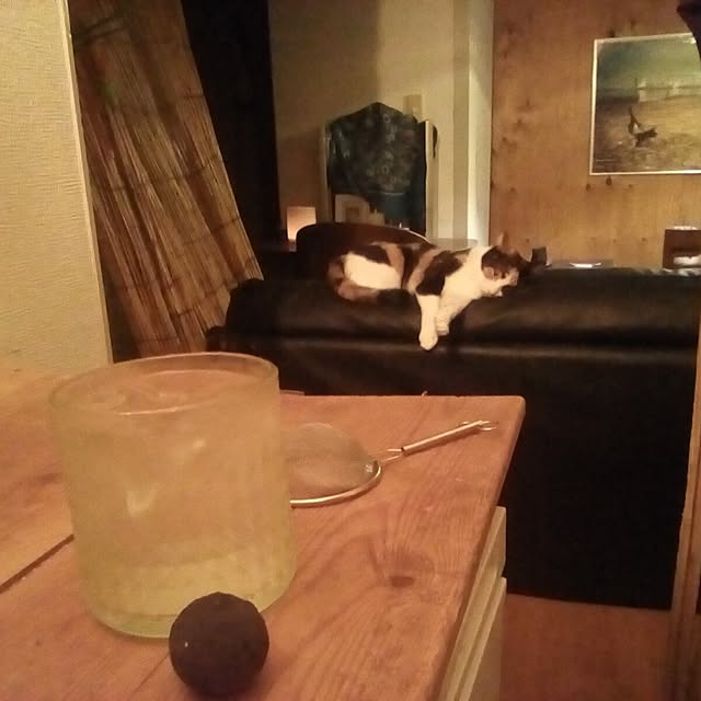 catloveさんの実例写真
