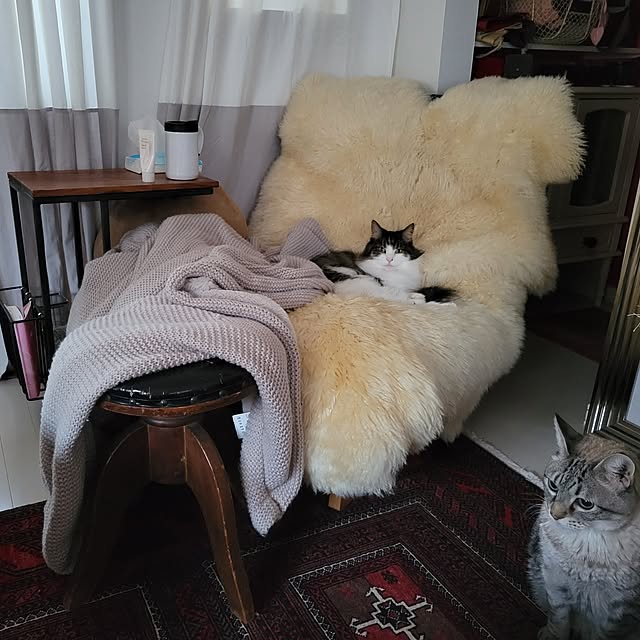 neoさんの実例写真