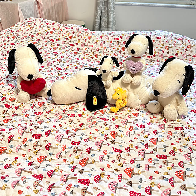 Kozuさんの実例写真
