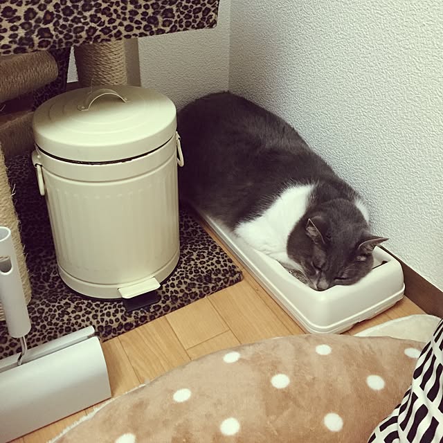 toufuさんの実例写真