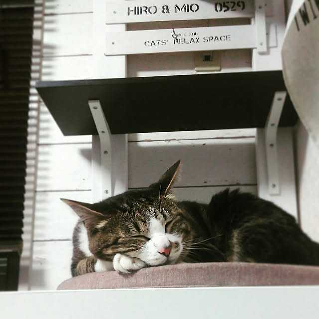 yuuさんの実例写真