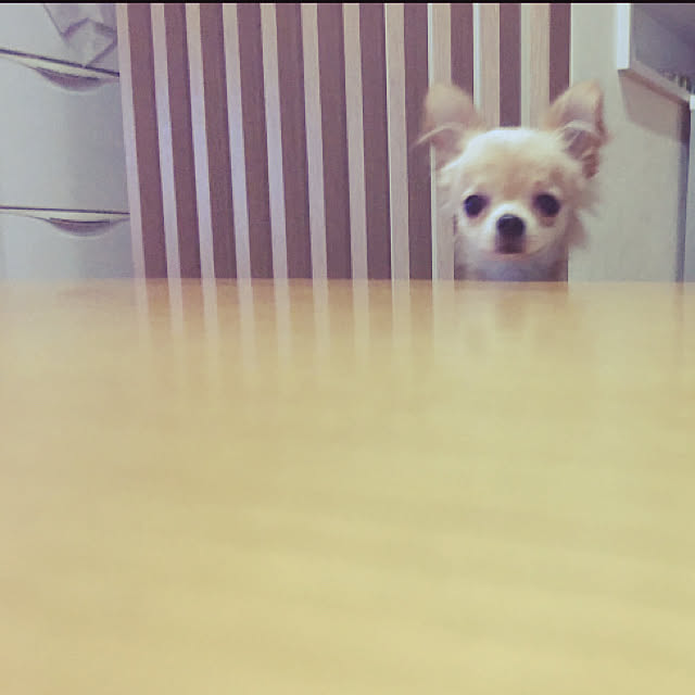 mihaaさんの実例写真