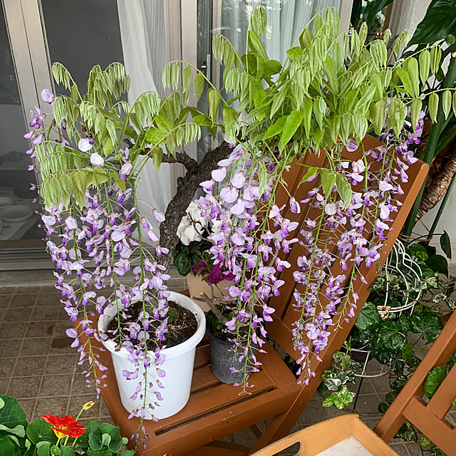 Aqettyさんの部屋