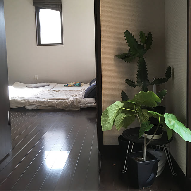 Dyさんの実例写真