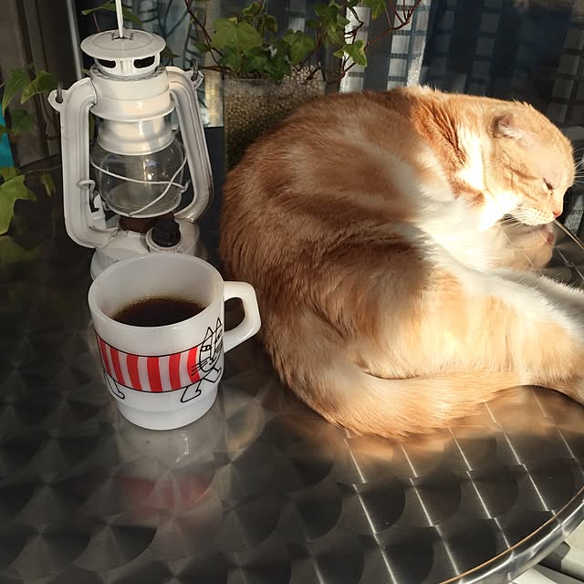 nico_mumさんの実例写真