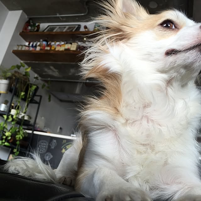 Makikoさんの実例写真