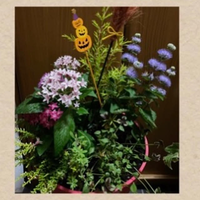 n_k6369さんの実例写真