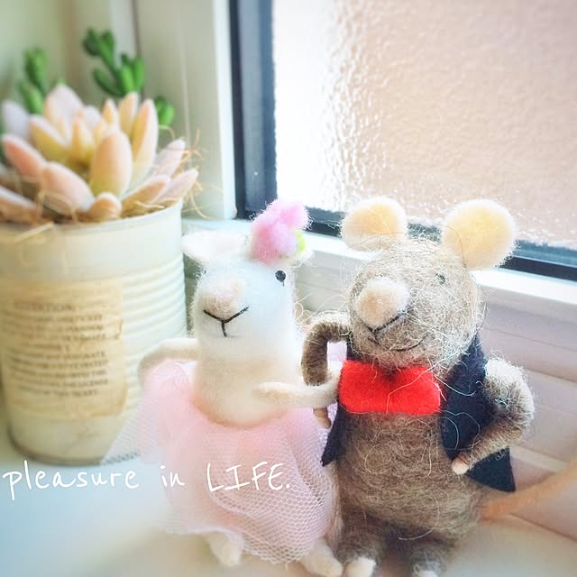 hannahさんの実例写真