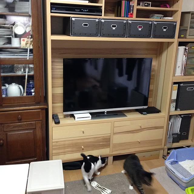 sakuraさんの実例写真
