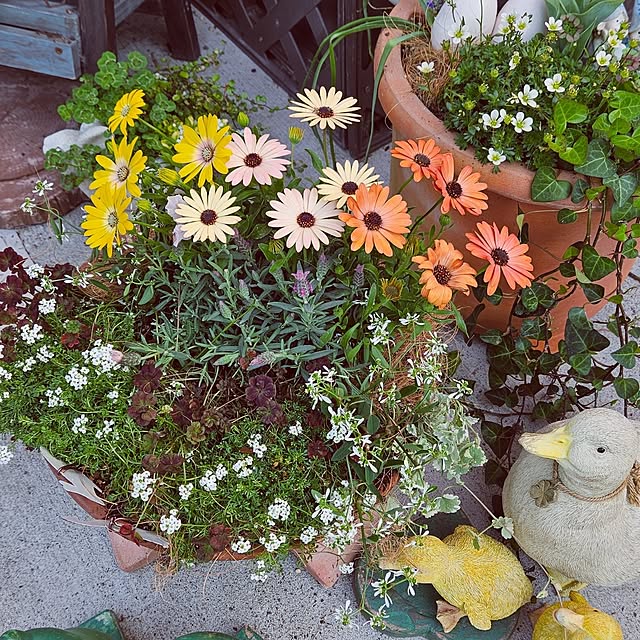 mocomocoさんの部屋