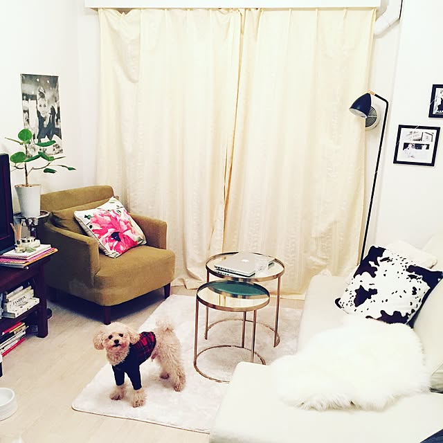 moccoさんの実例写真
