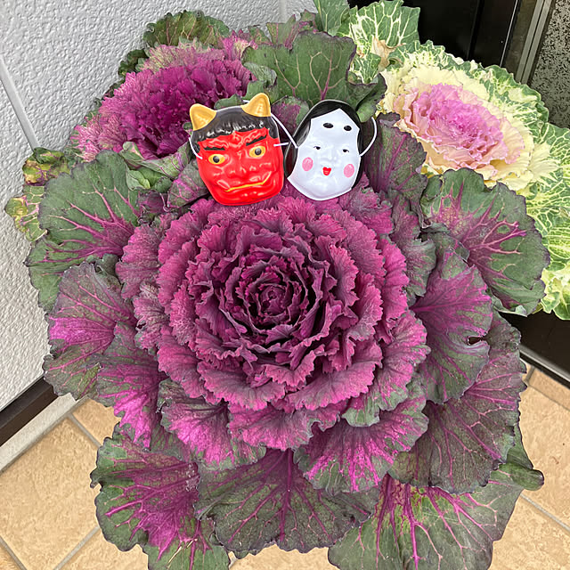 yukaさんの実例写真