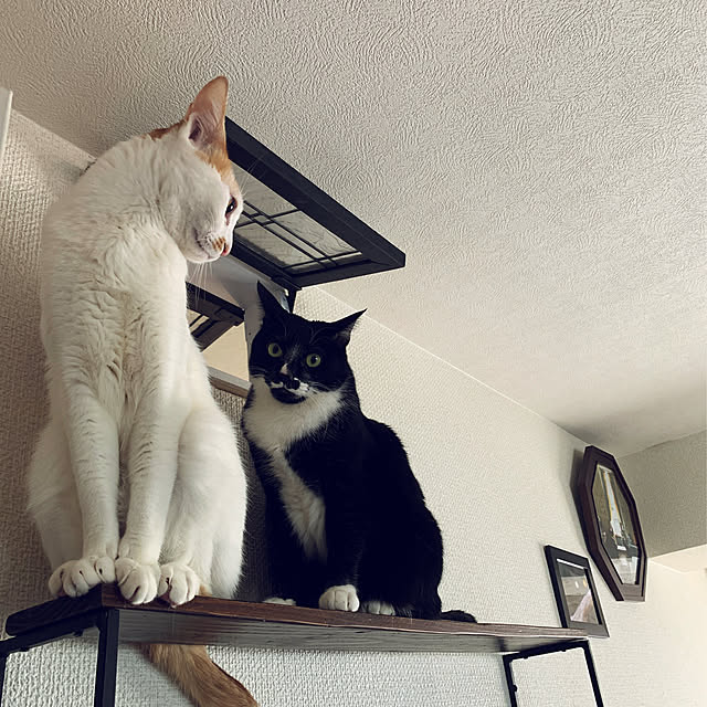 ____Mukさんの実例写真