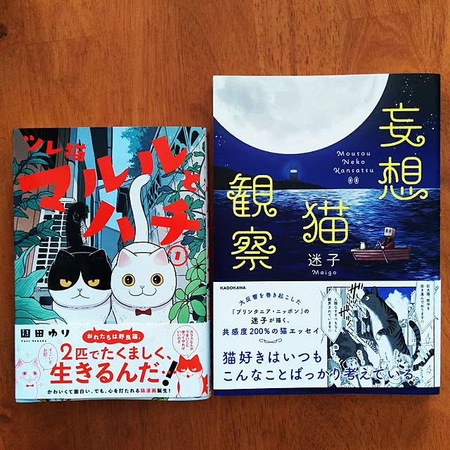 futukoさんの実例写真