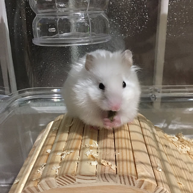 yukiさんの実例写真