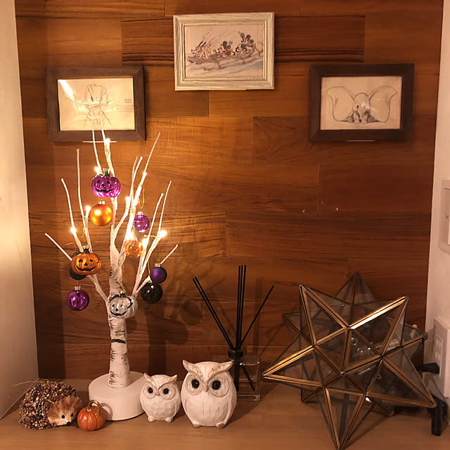 nana.y1111.tさんの実例写真