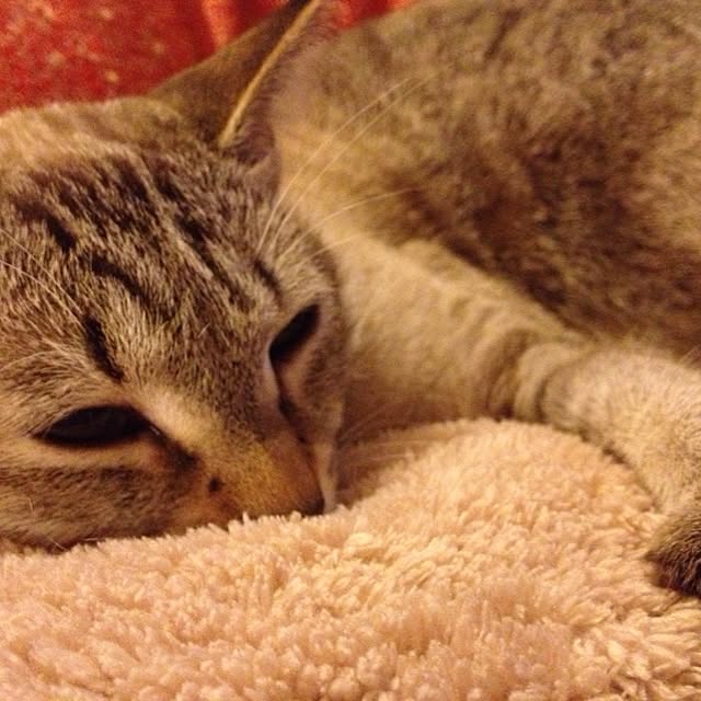 kmstmさんの実例写真