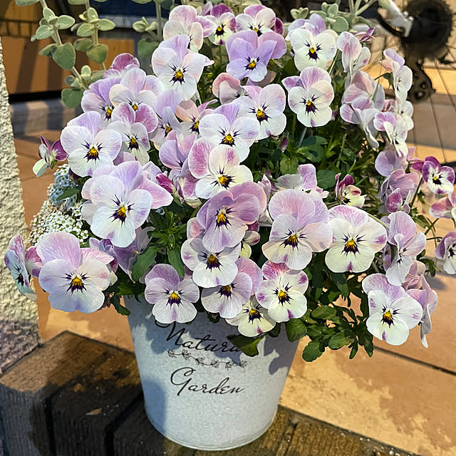 naotokahoさんの部屋