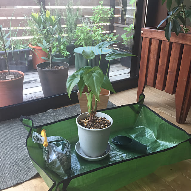 usuririさんの実例写真