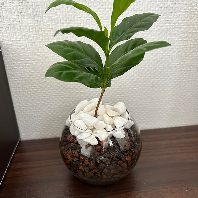 norikさんの実例写真