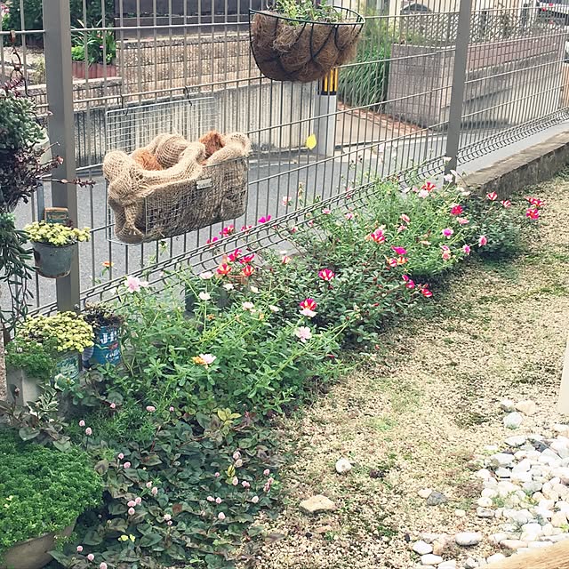 Ringo8chさんの実例写真