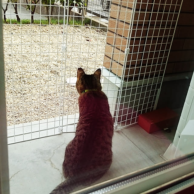 lilyさんの実例写真