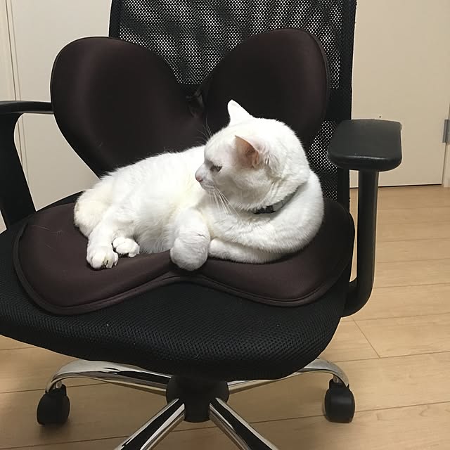 riechanさんの実例写真