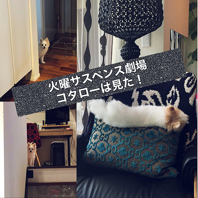 kotarico327さんの実例写真