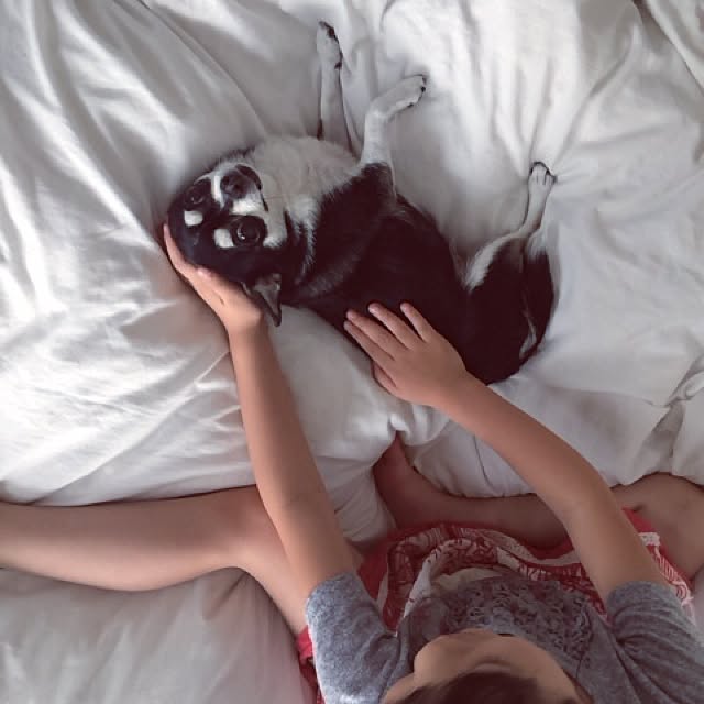 mikiさんの実例写真