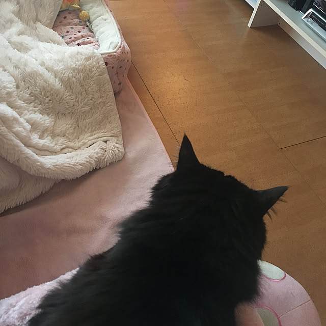 kanaさんの実例写真