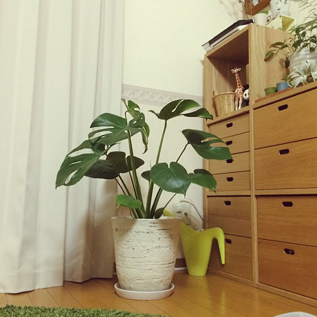 yukaさんの実例写真