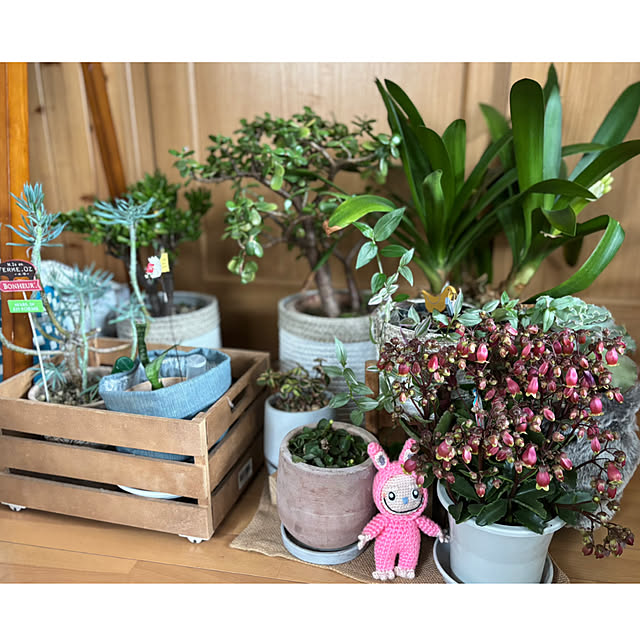 CoCo0617さんの部屋