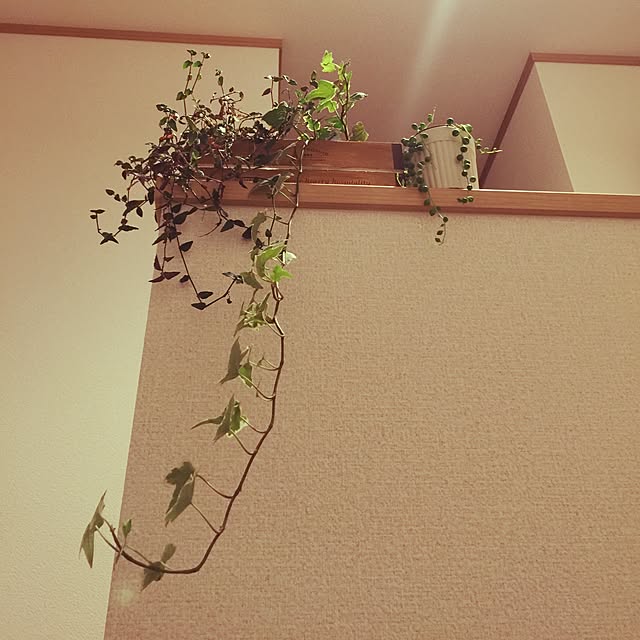amiさんの実例写真
