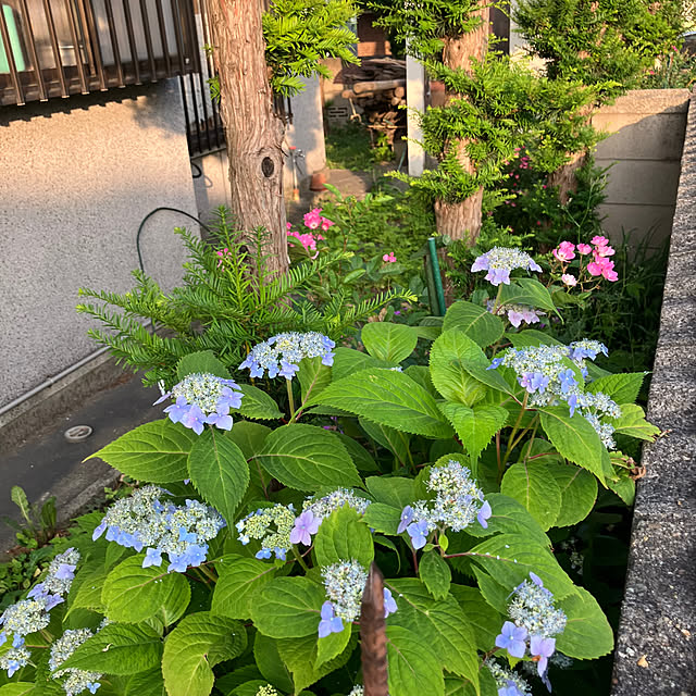 mottimoさんの部屋