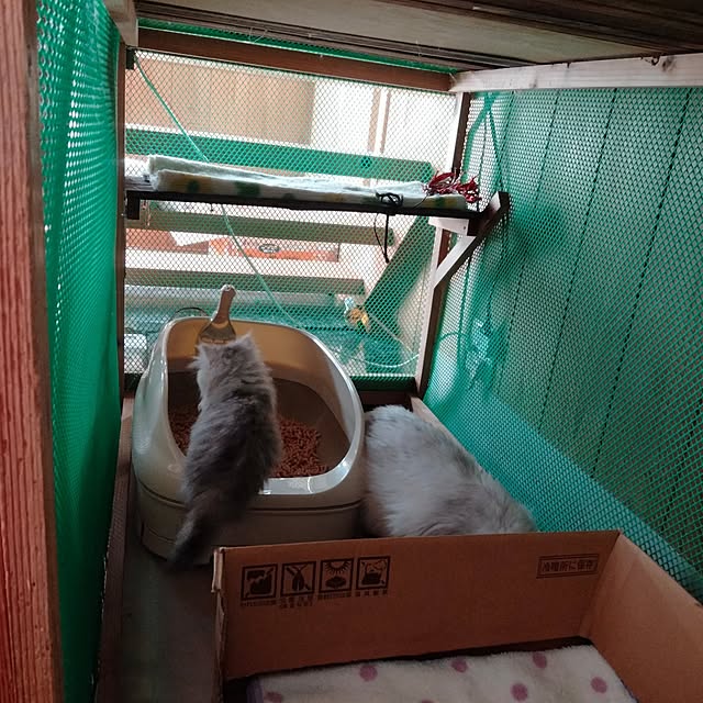 makaronさんの実例写真