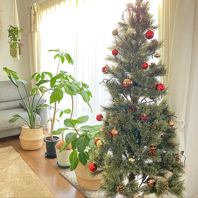 _eringo_home_さんの実例写真