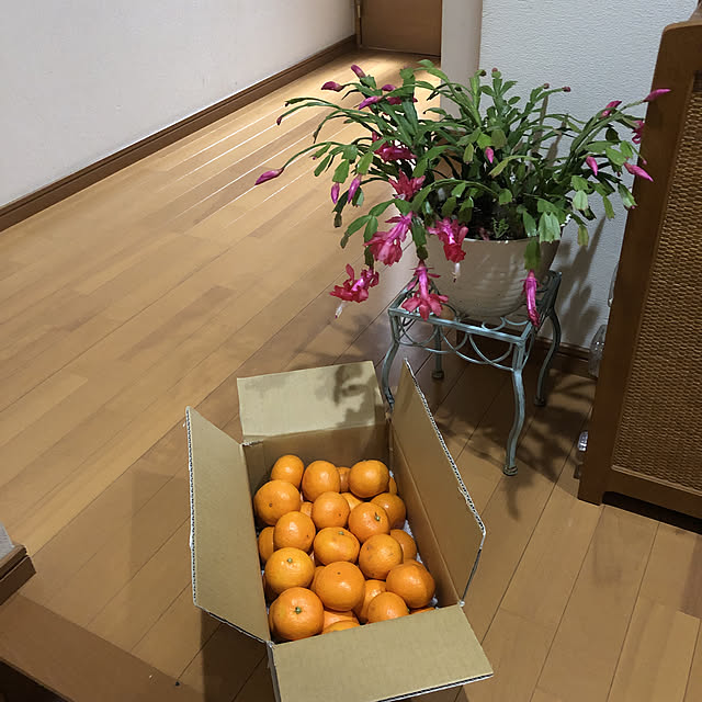 fumikoiさんの実例写真