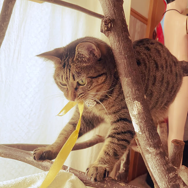 Mさんの実例写真