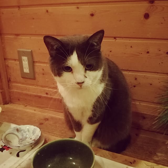 Maki-nekomamireさんの実例写真