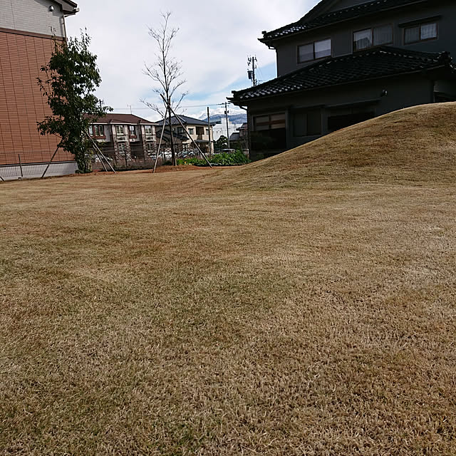 s_h_yさんの実例写真