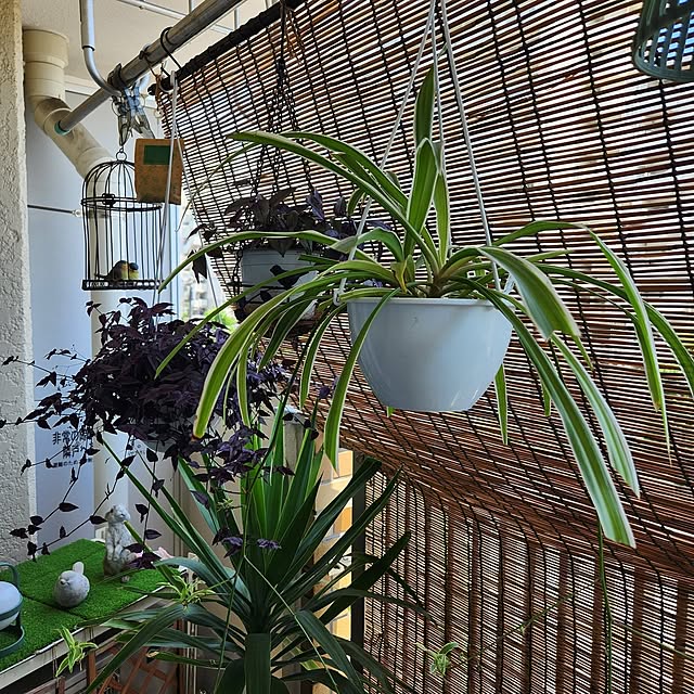 takoさんの部屋