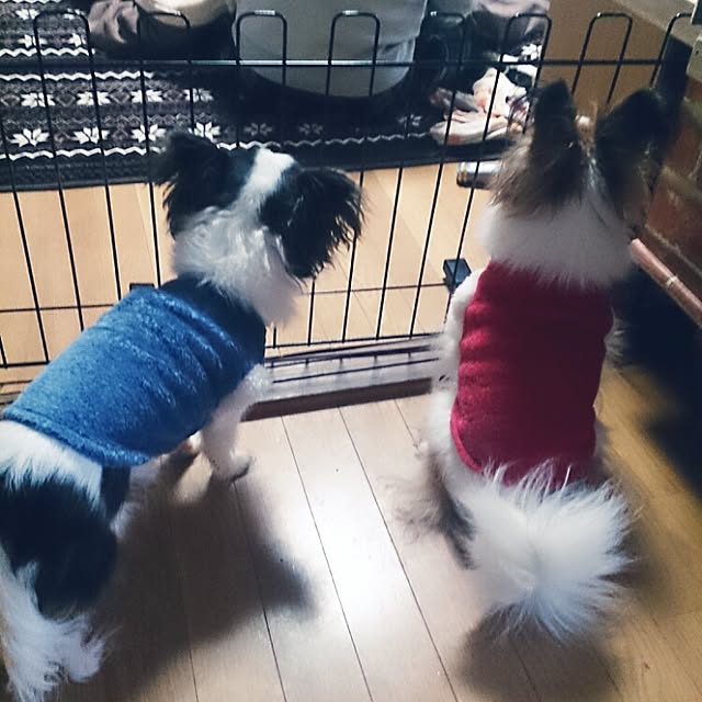miporin0711さんの実例写真