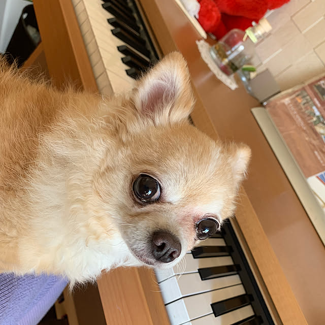 JUさんの実例写真