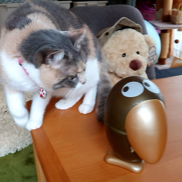 fukuさんの実例写真