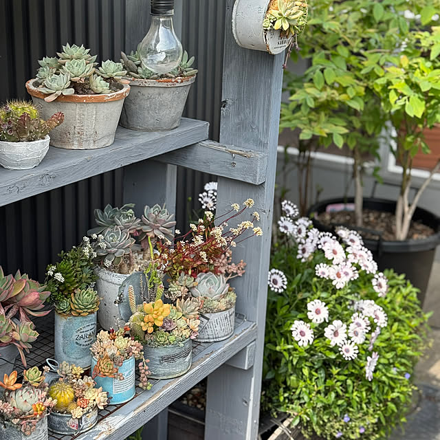 Tomokoさんの部屋