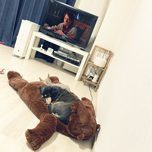 ohanaさんの実例写真