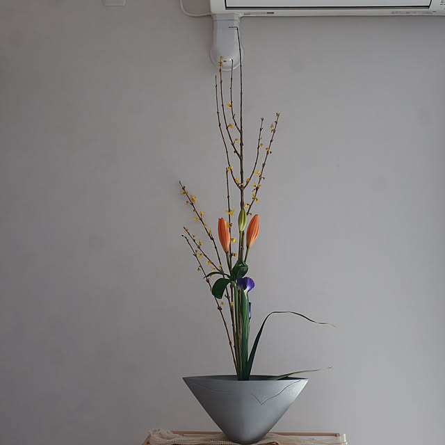 Summerさんの実例写真