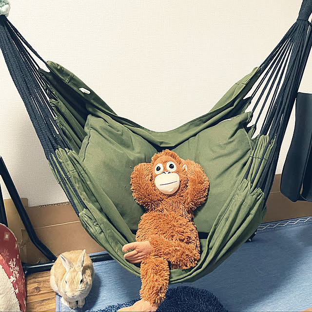 minikoさんの実例写真