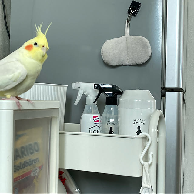 toratanさんの実例写真