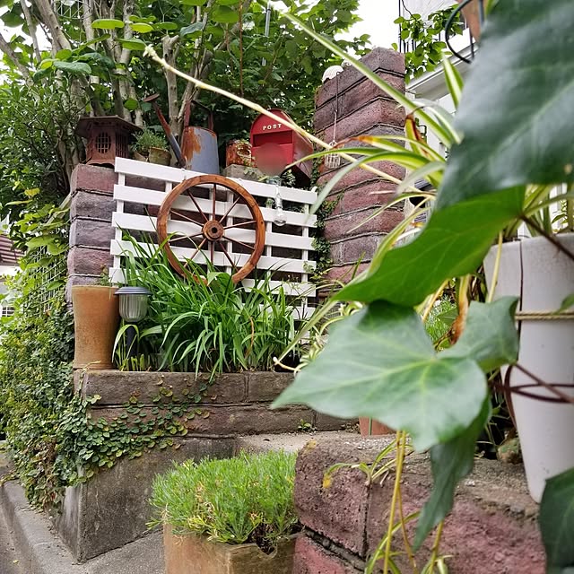 midoriさんの実例写真